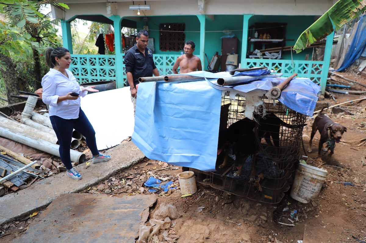 Bienestar Animal encontró a cuatro perros atados con cadenas y enfermos en Alcalde Díaz