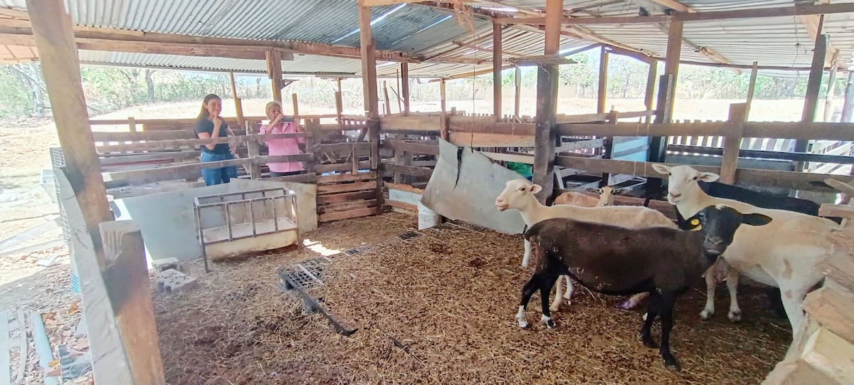 MIDA y estudiantes de la UP recorren fincas de Panamá Oeste para potenciar el agroturismo