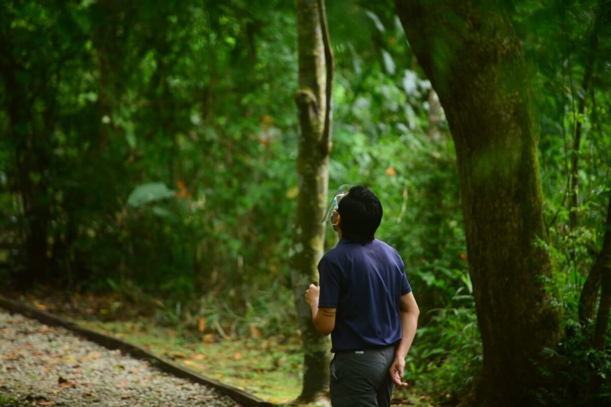 Anuncian cierre de áreas protegidas en Chiriquí y Coclé debido al mal tiempo