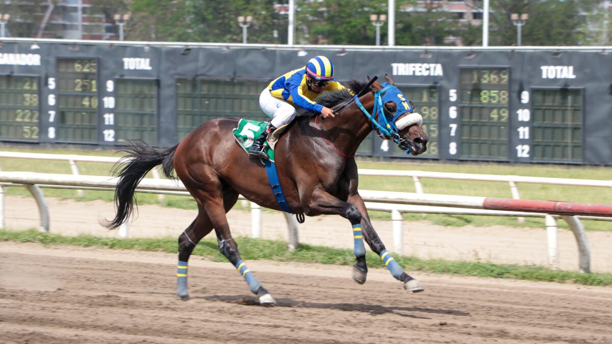 ¡Al rojo vivo! Los jinetes, entrenadores y studs buscan la destacar esta temporada