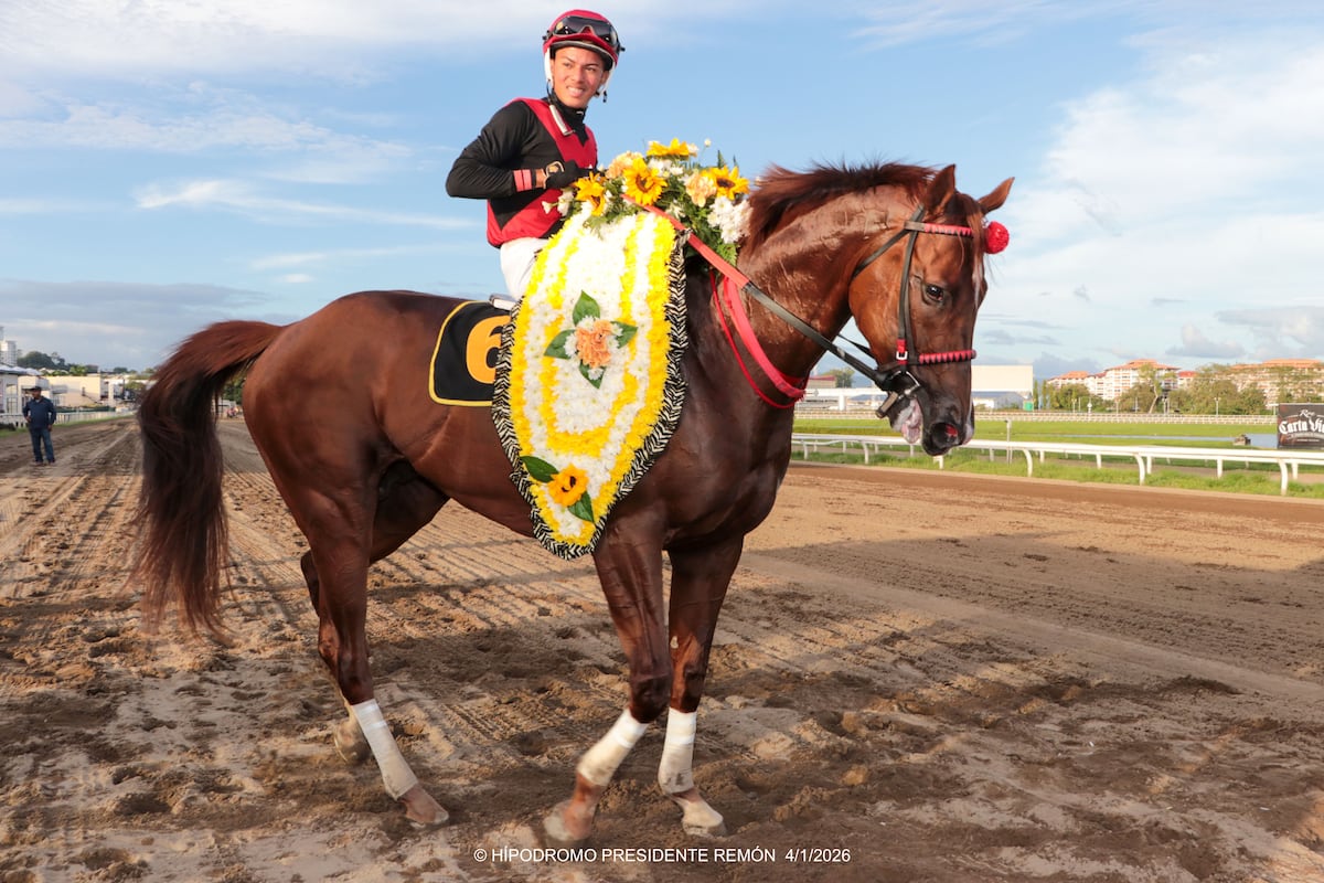 ‘Takao’ vuela en Juan Díaz y se queda con el Año Nuevo