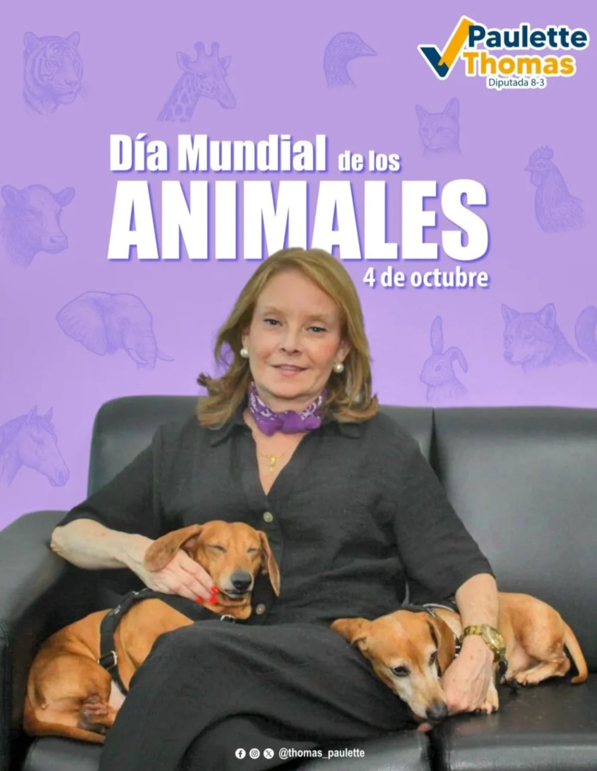 ¡Sin miedo! Diputada Paulette Thomas responde a todo: violadores, revocatoria y aborto