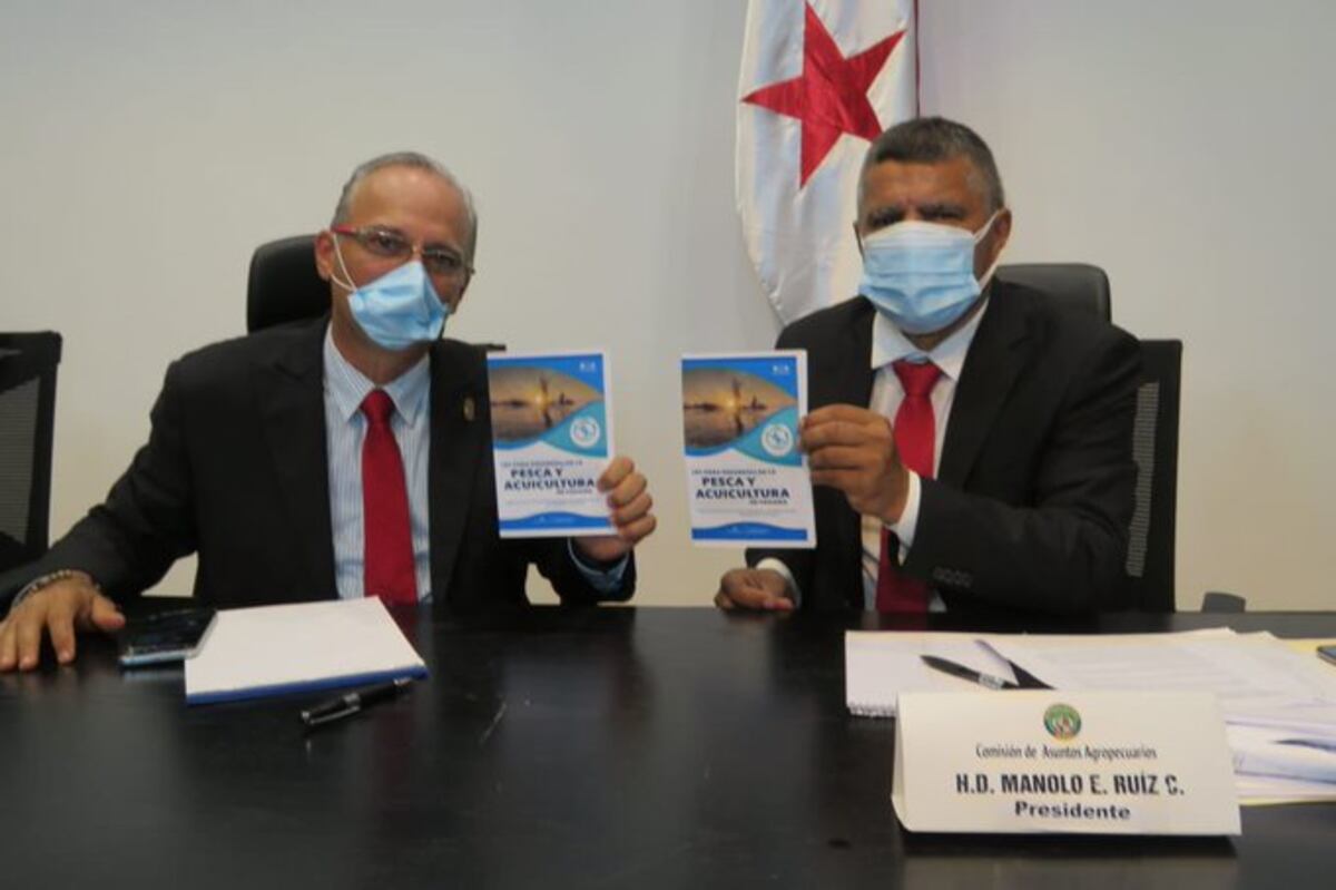 Diputados trabajan en una nueva ley pesquera tras seis década de la vigente