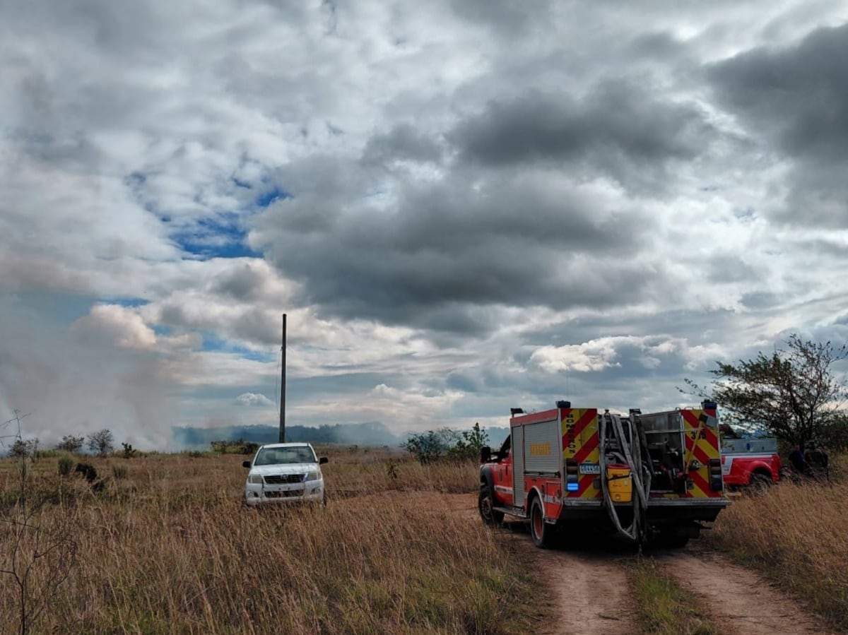 Patrullaje evita que incendio alcance los Manglares de la Bahía de Chame