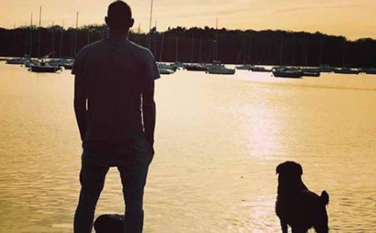 La conmovedora historia de Nala, la perra que sigue esperando a su dueño