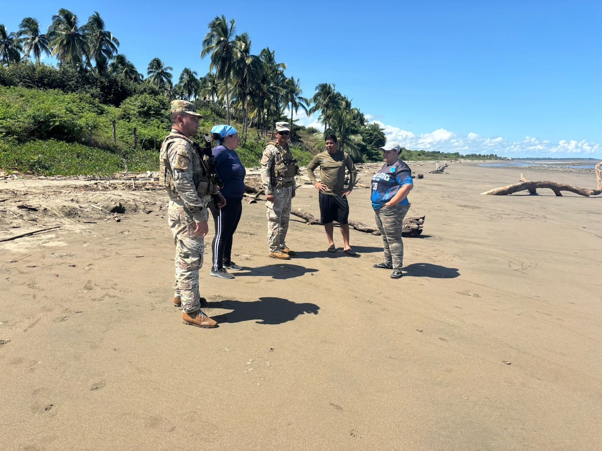 Rescate inesperado: cuatro delfines quedan varados y vecinos actúan primero