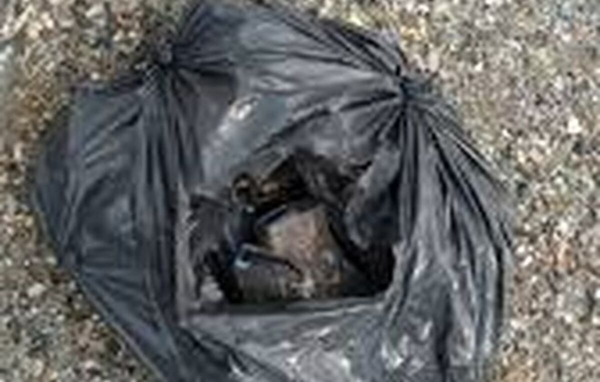 LOS AGARRAN EN EL AUTO. Una panameña y un costarricense con droga en bolsa negra