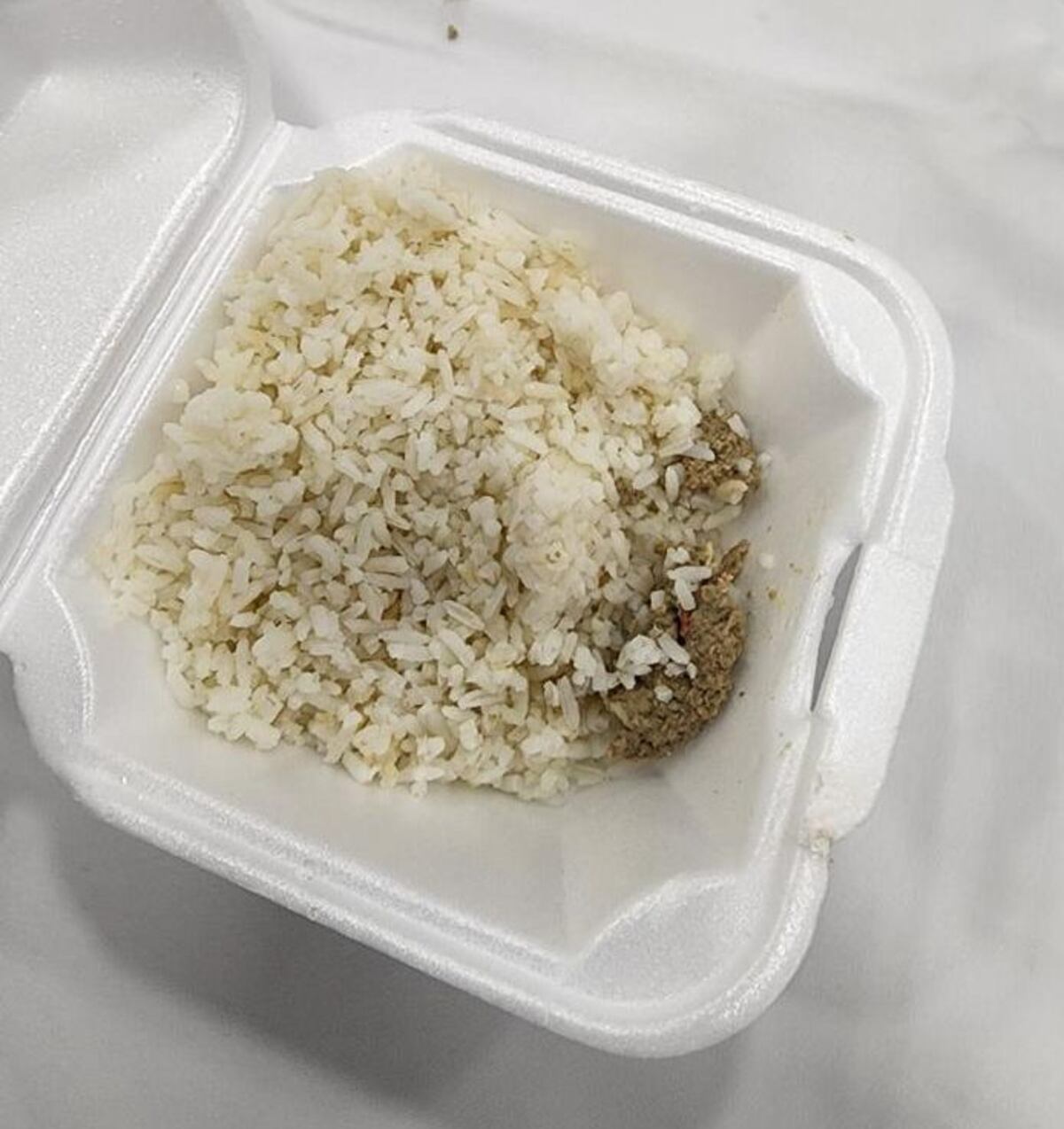 Arroz con tuna. El almuerzo dado a los del diálogo por parte de los ngäbes