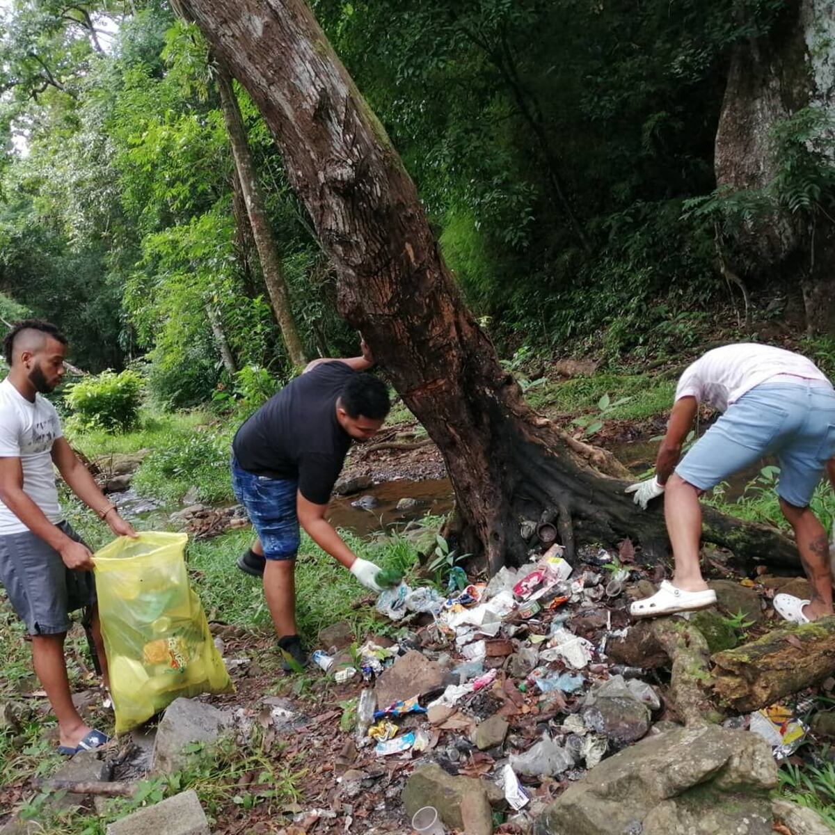 Amanecieron limpiando las calles, playas y los ríos