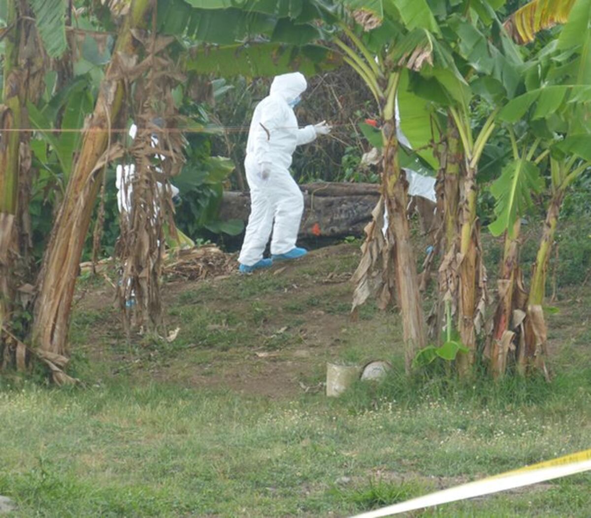 LA TASAJEÓ, QUEMÓ Y ENTERRÓ. Viene el jucio del  'Caníbal'. Será oral y público