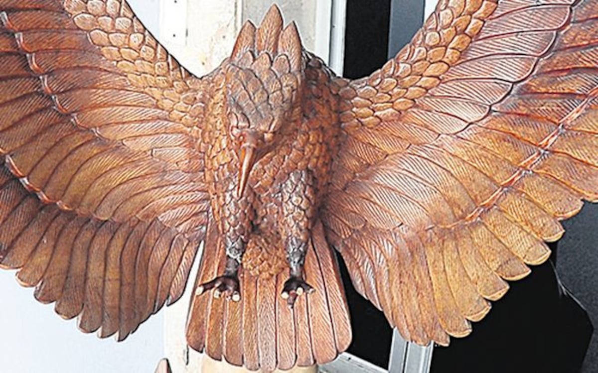 Águila harpía está en el olvido 