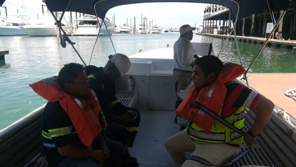 Afloramiento de algas puede estar afectando a los peces en Amador