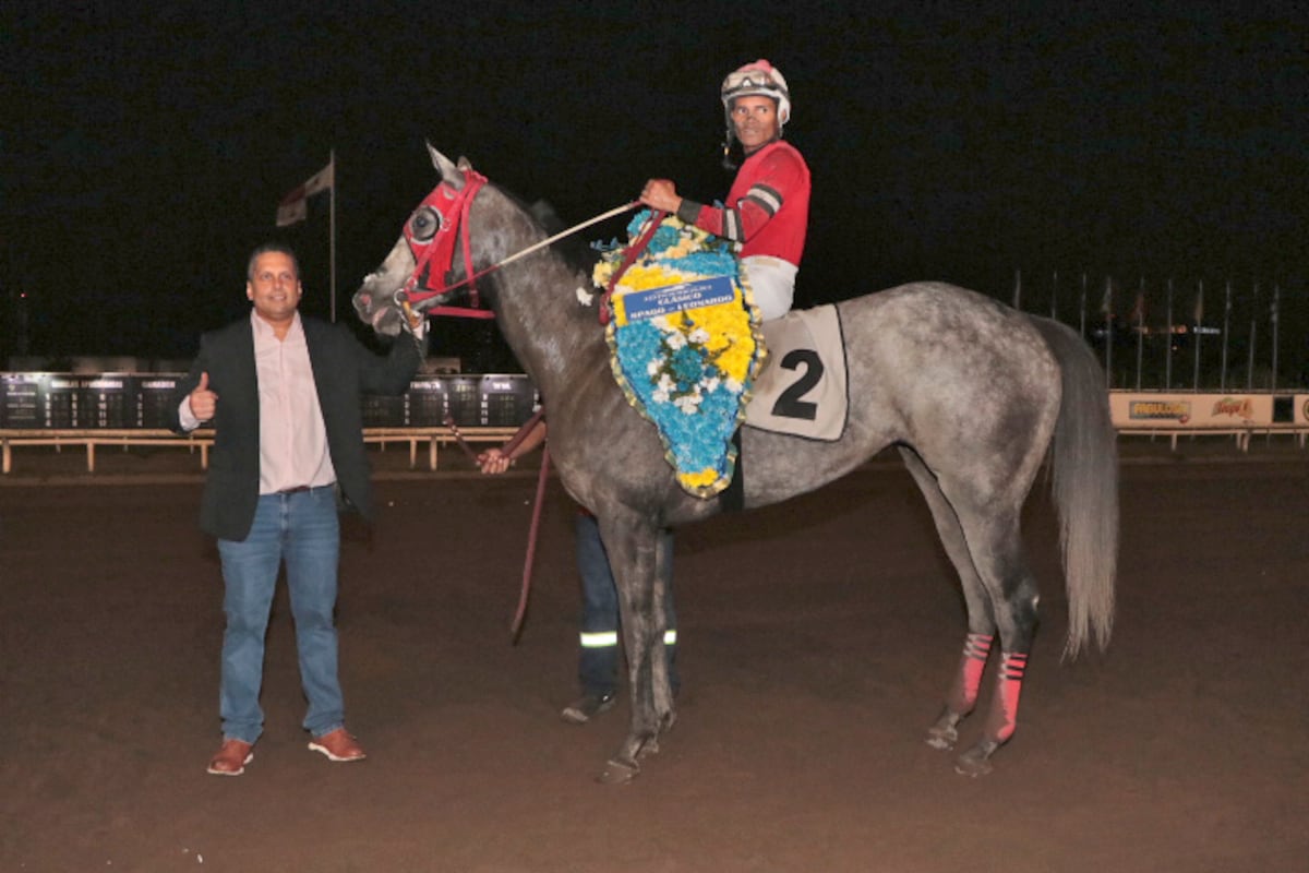 Sangre, galope y orgullo: las mejores yeguas van por 20 mil en el APROTURF