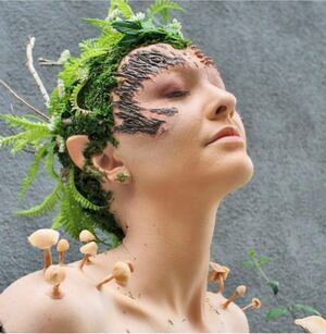 Reconectar con la naturaleza