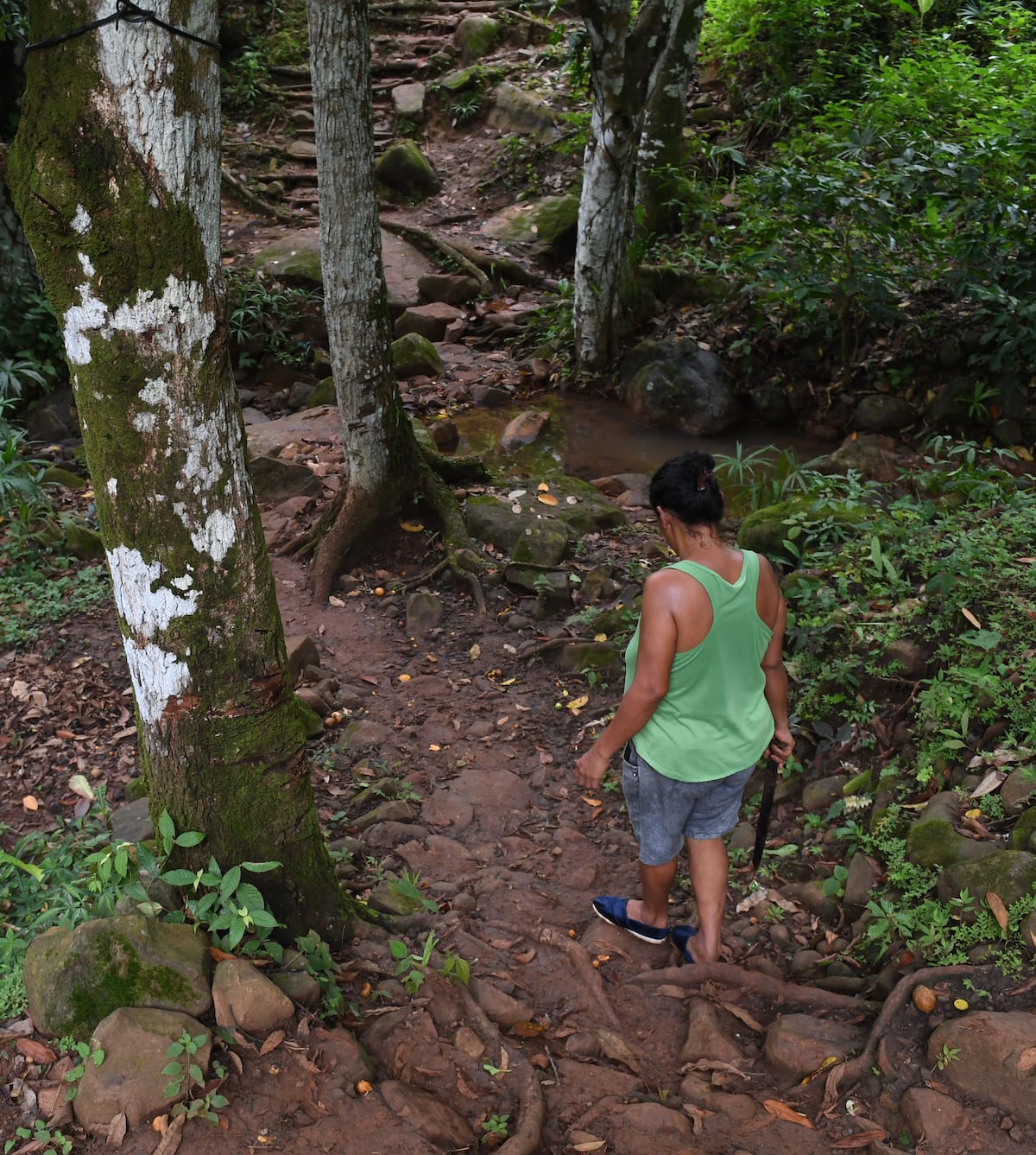Pobreza en la ciudad. En Cabuyita de la 24 de Diciembre tienen hoy poco que celebrar