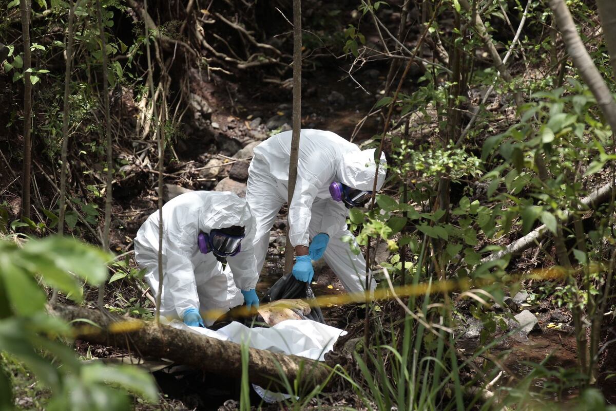 Cadáver en el Corredor Norte. El hallazgo fue pura casualidad. ¿Y el crimen?