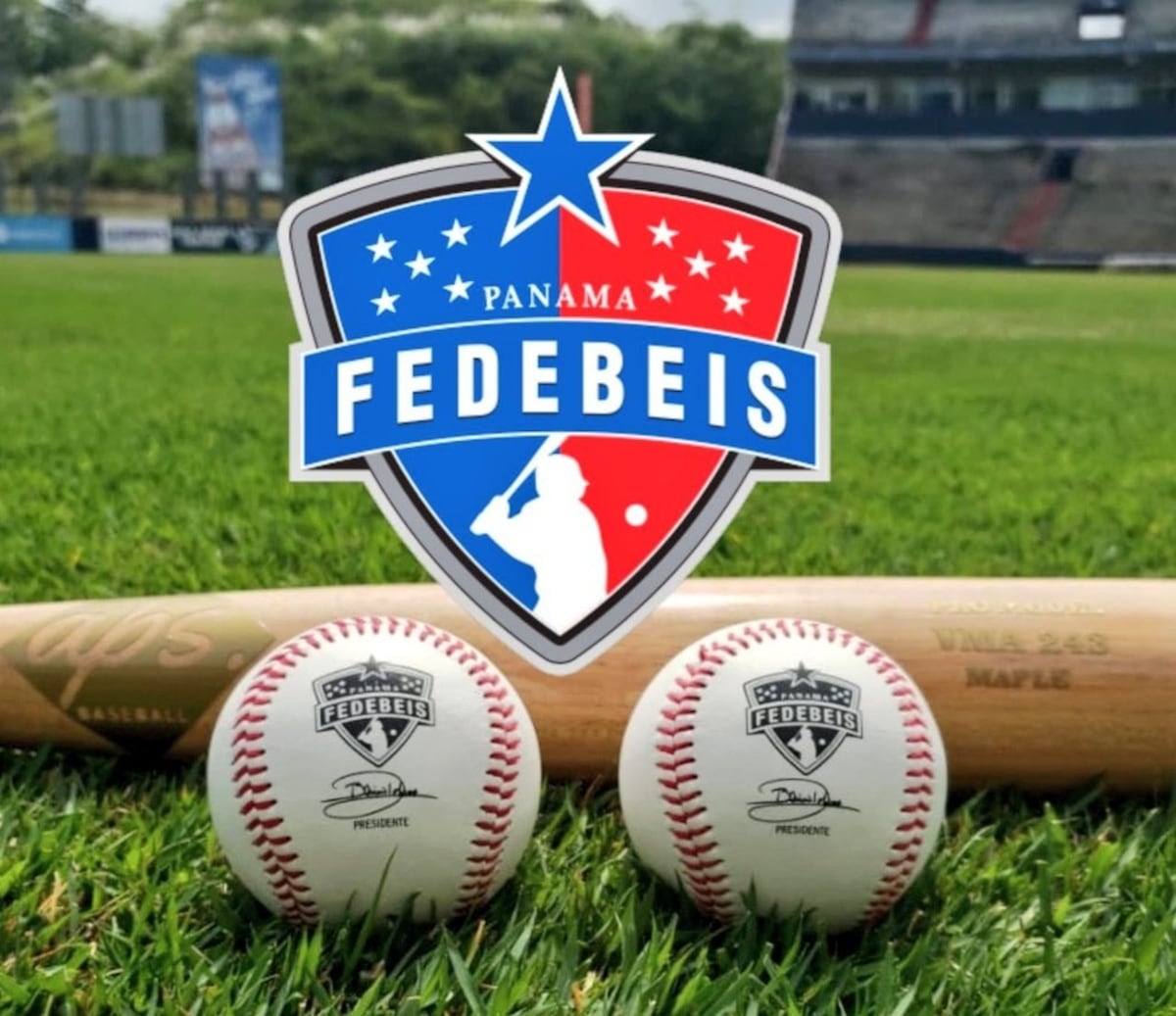 Béisbol Mayor 2024: Fedebeis anuncia los premios individuales de la temporada