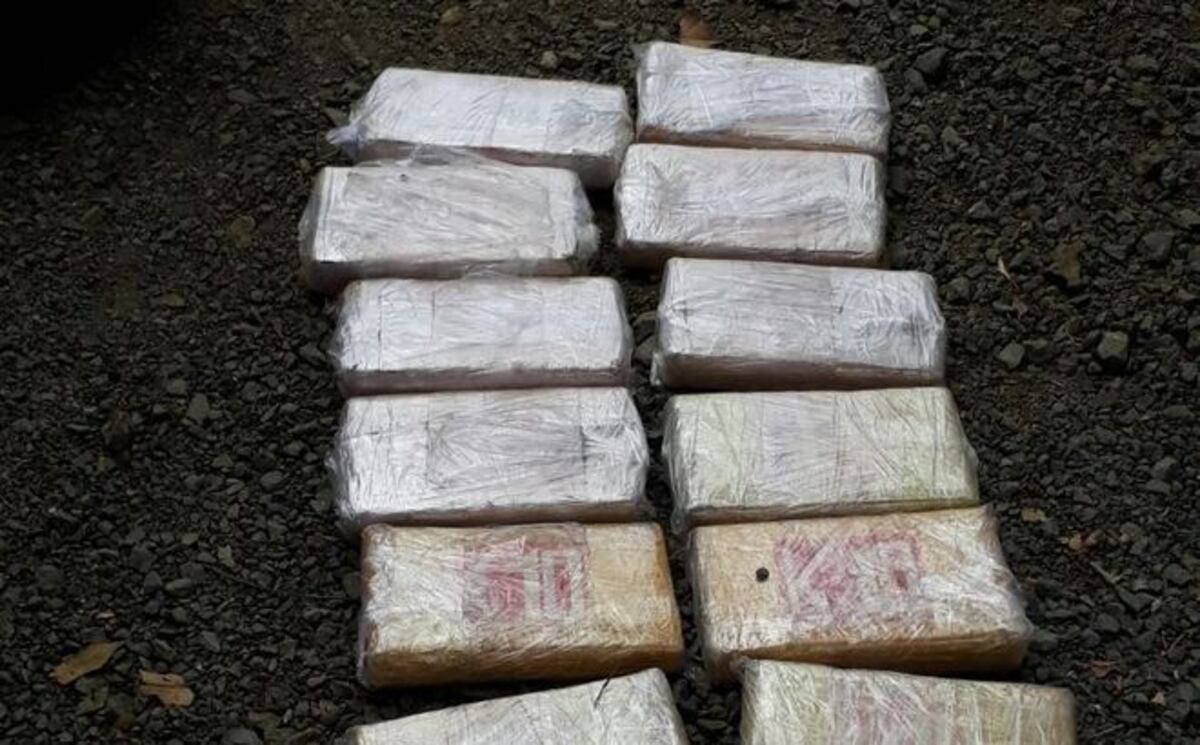 Incautan sustancia ilícita en La Palma de Darién 