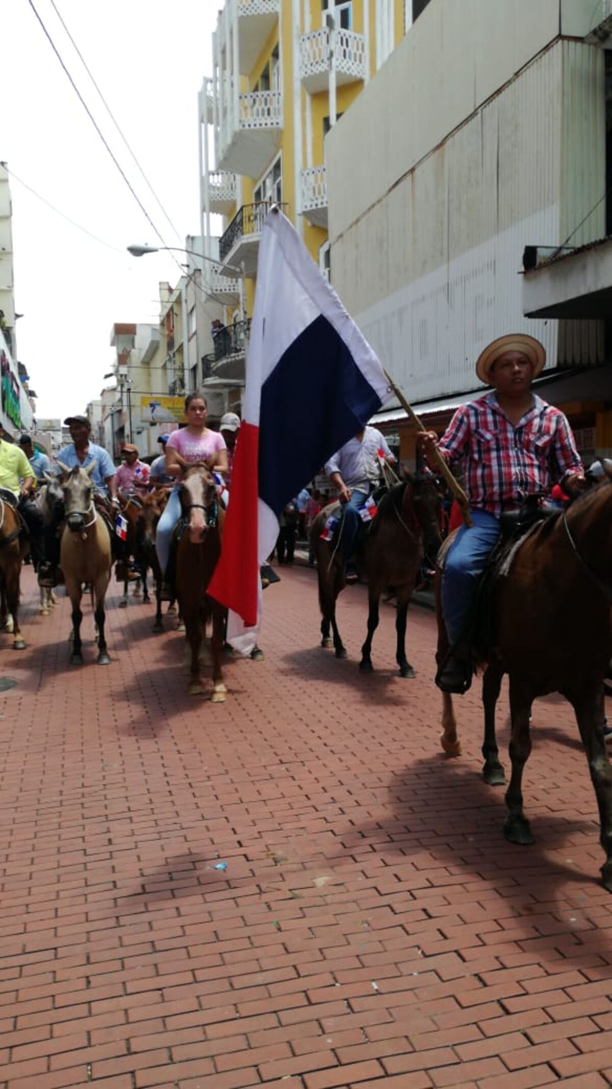 Protestan.Con vacas y caballos productores marchan hasta la Presidencia | Videos