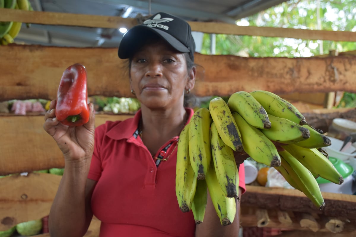 Feria de Veraguas en Soná cumple 50 años