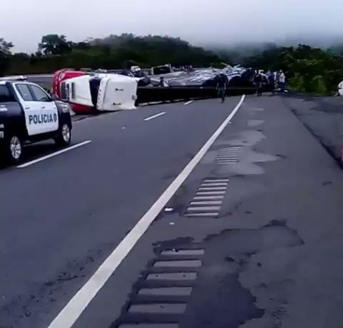 Mula choca y se vuelca en Veraguas | Video