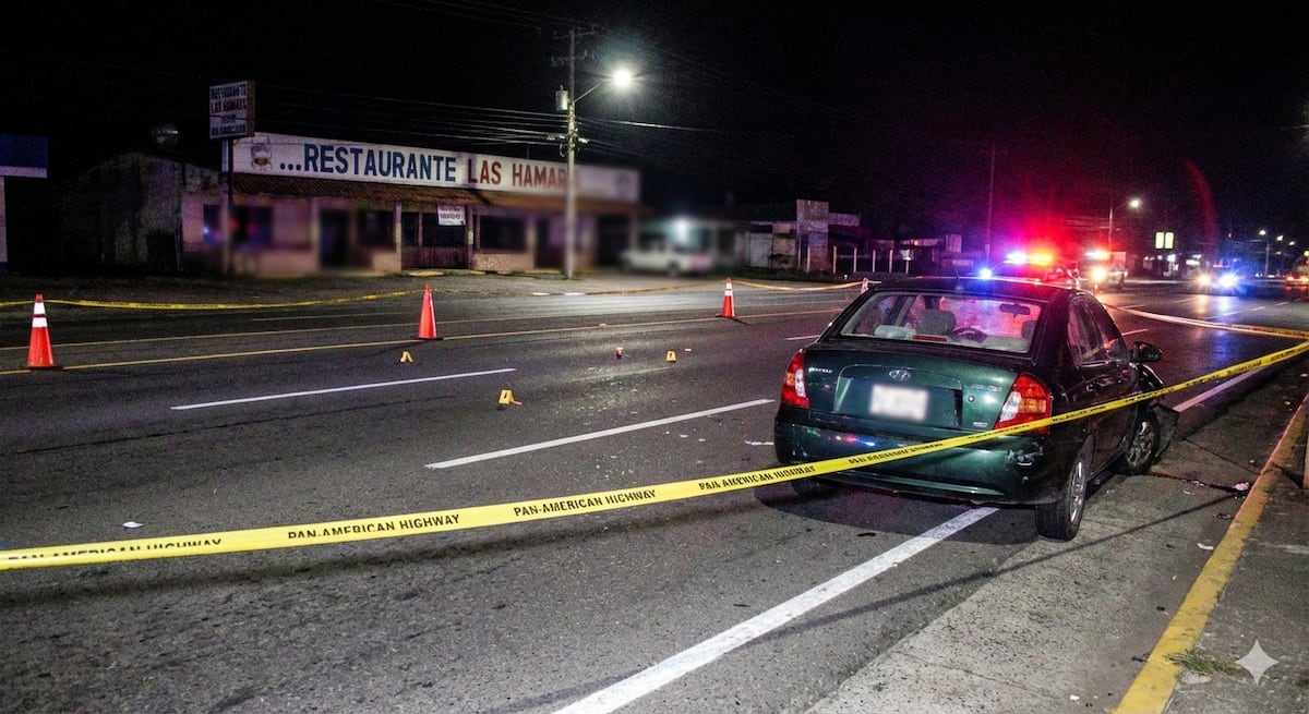 Atropello mortal frente a bar en la Panamericana deja un fallecido