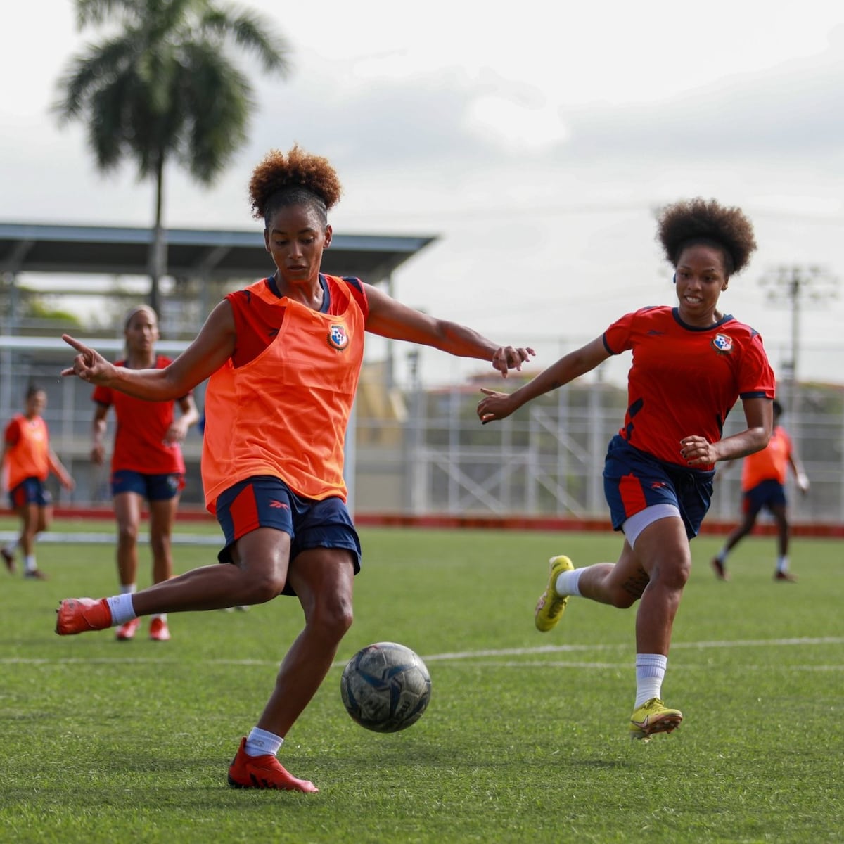 ‘Nacho’ Quintana eligió a las 23 jugadoras que llevará a Colombia