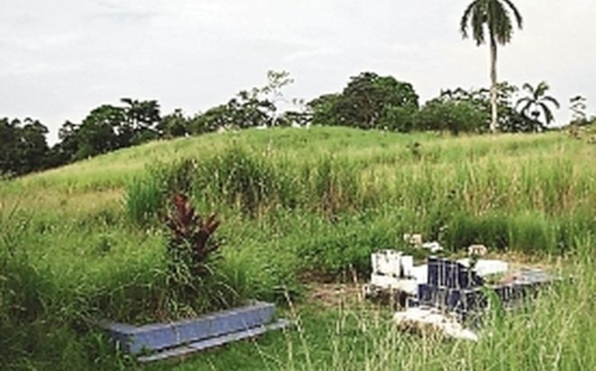¡CULPABLE! La mató y la tiró al cementerio entre herbazales​