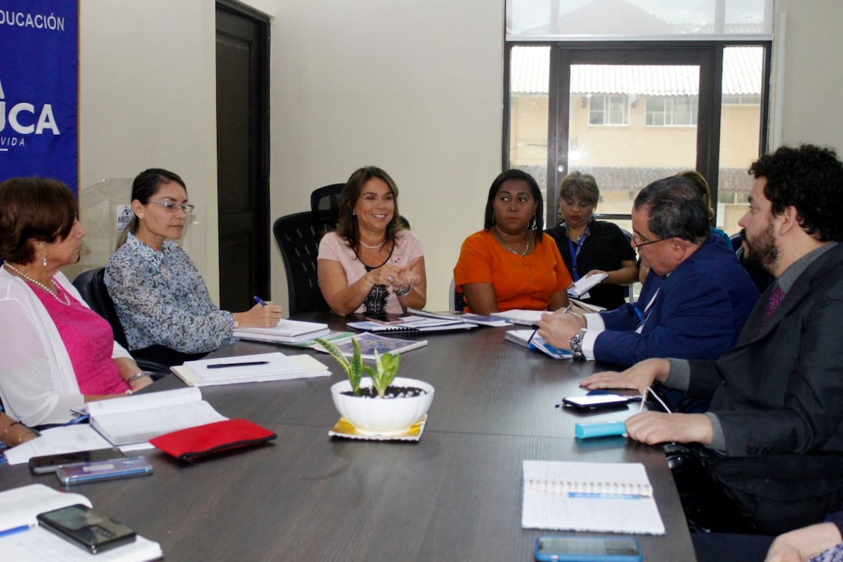 Comisión evaluará efectividad de la ley de inclusión de los estudiantes con discapacidad al sistema educativo