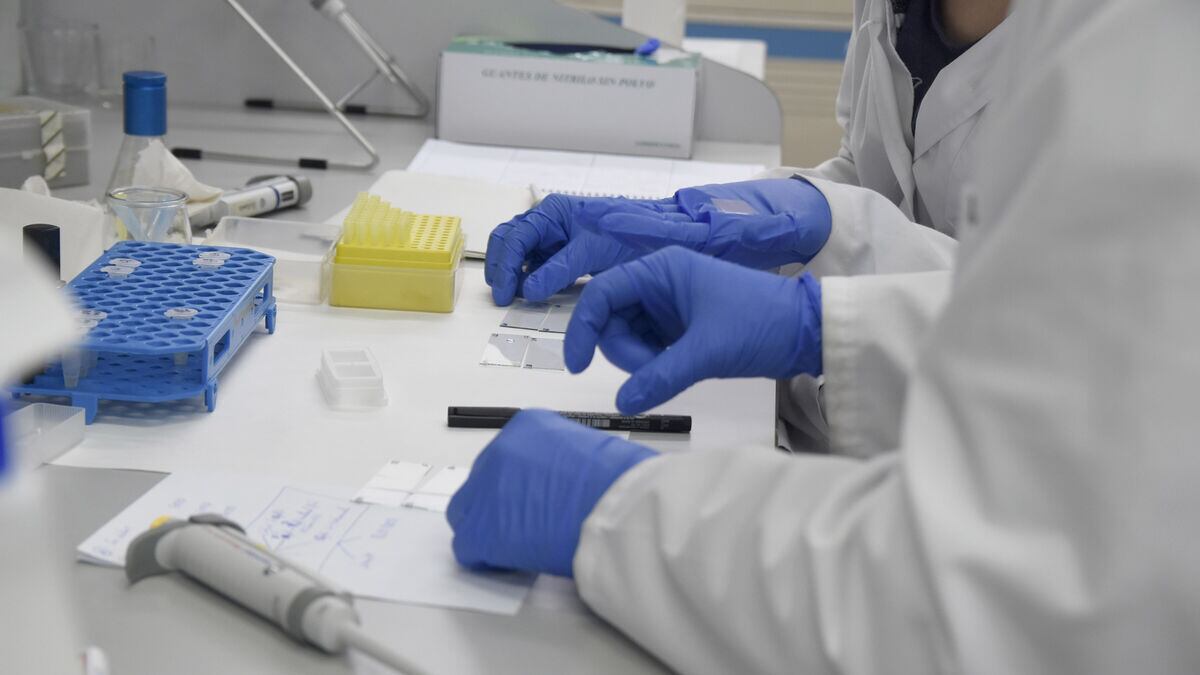 Bajan casos de viruela del mono en el mundo, pero hay un incremento en América