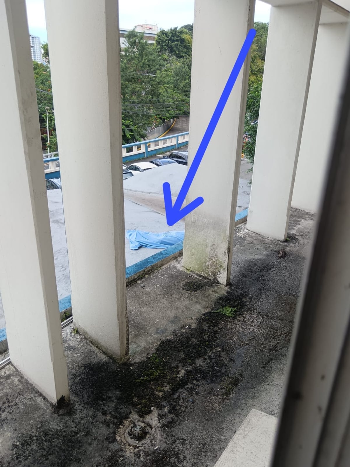 Encuentran cuerpo sin vida en alero de la Especializada