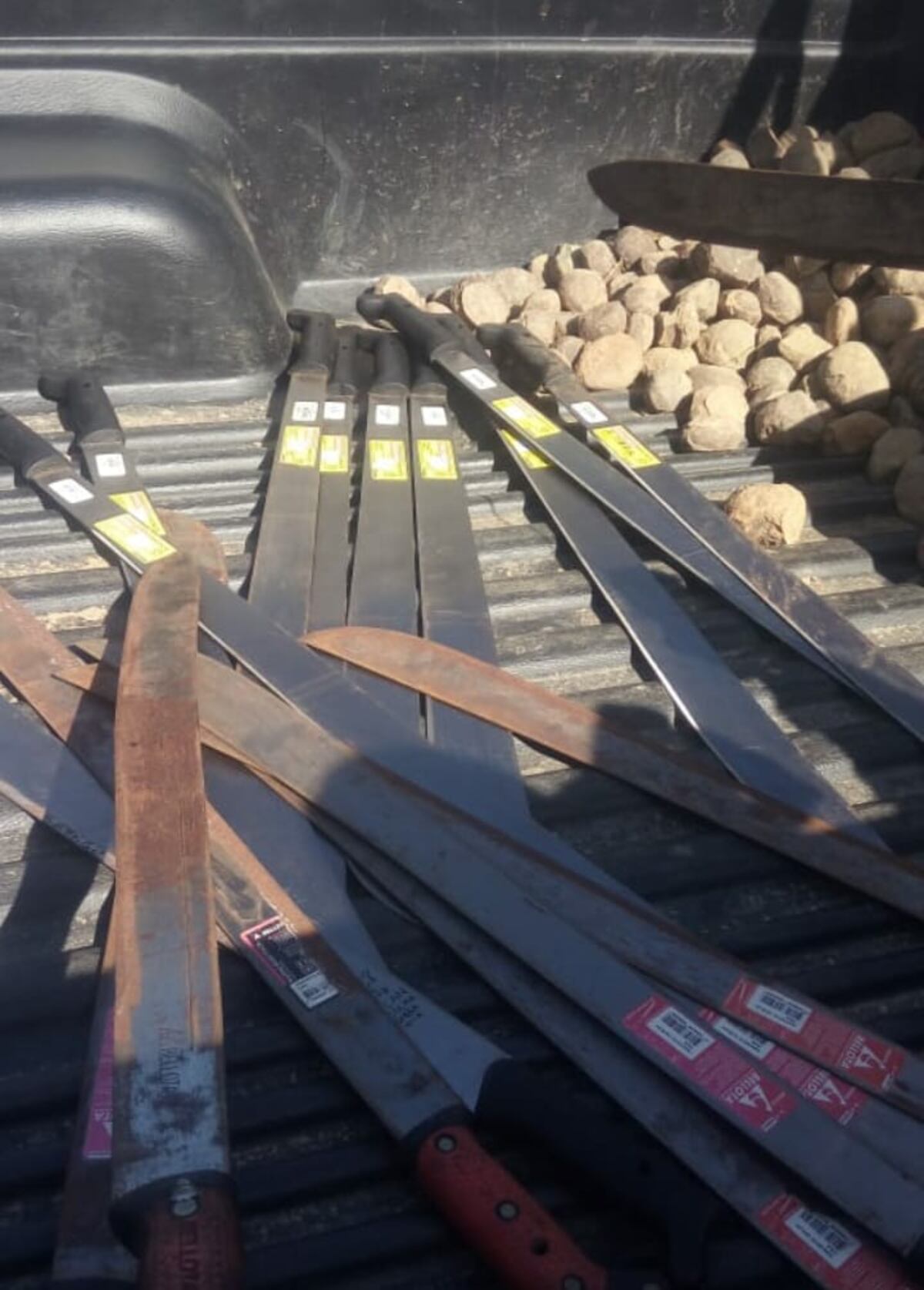 En Divisa los productores casi linchan al ministro Carles en medio de protesta