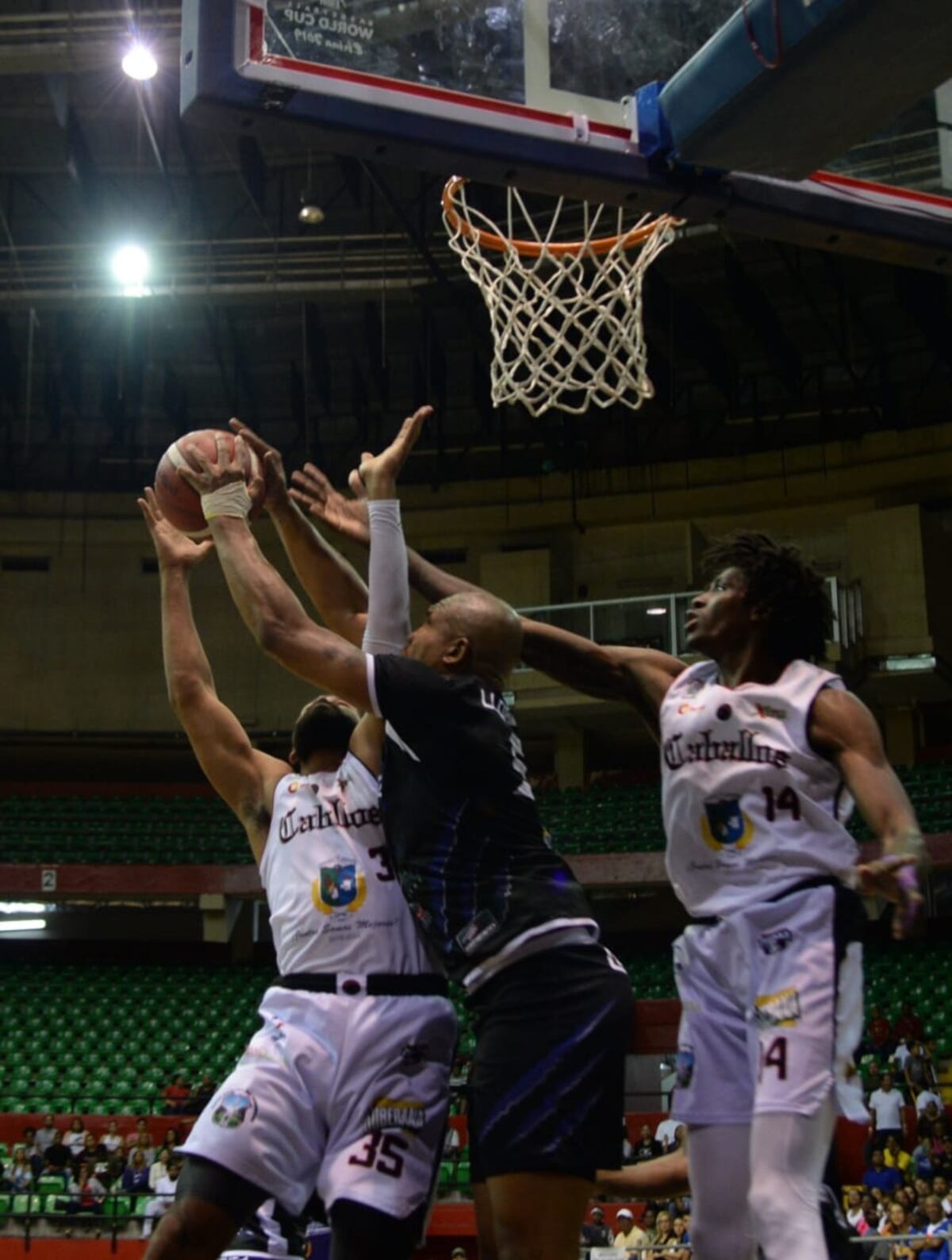 Los Caballos cabalgan al título. Video