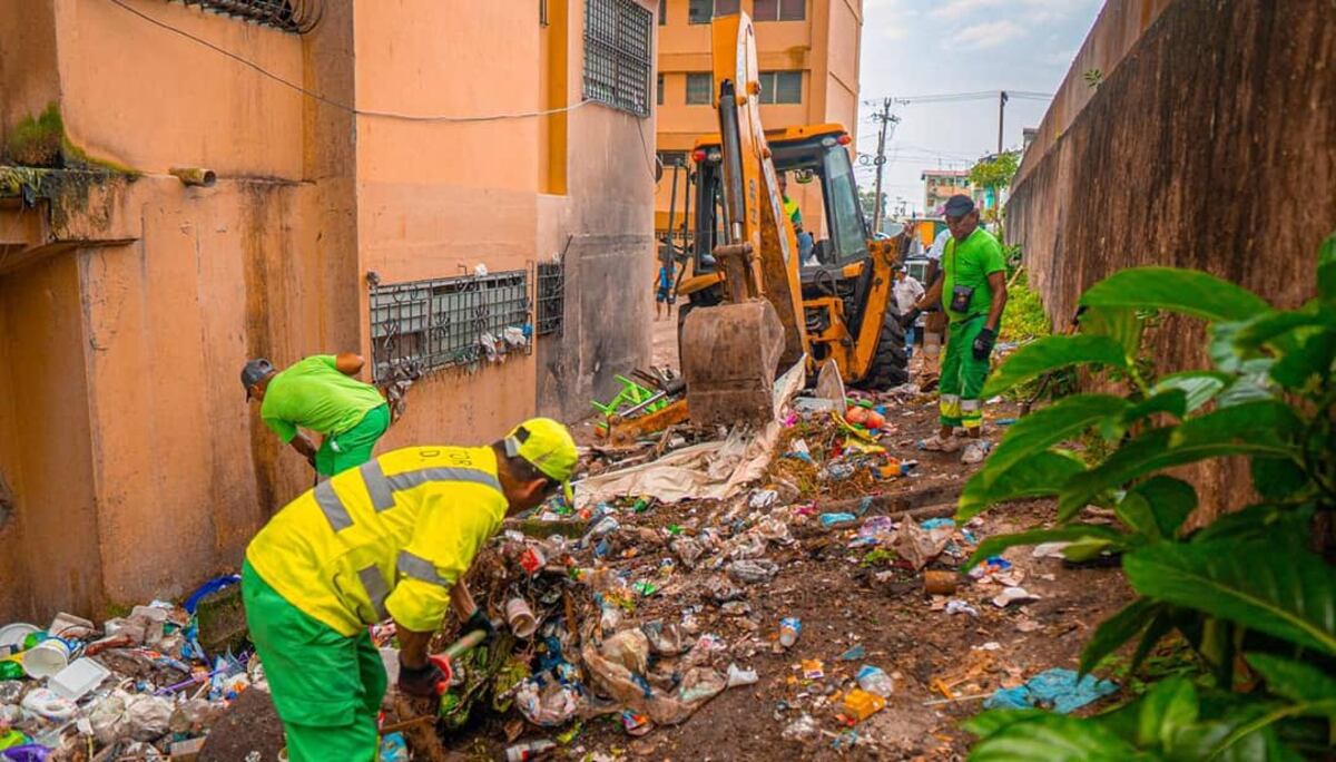 Gusanos, chinches y cucarachas. Judy Meana exhibe la cochinada de Patio Pinel