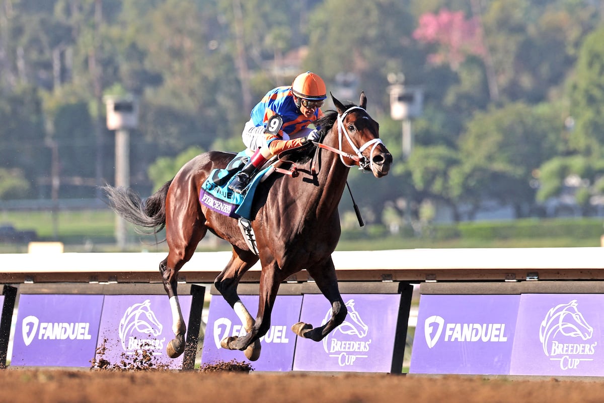 ¡Emoción desbordante en Churchill Downs! ¿Quién se llevará el Derby de Kentucky?