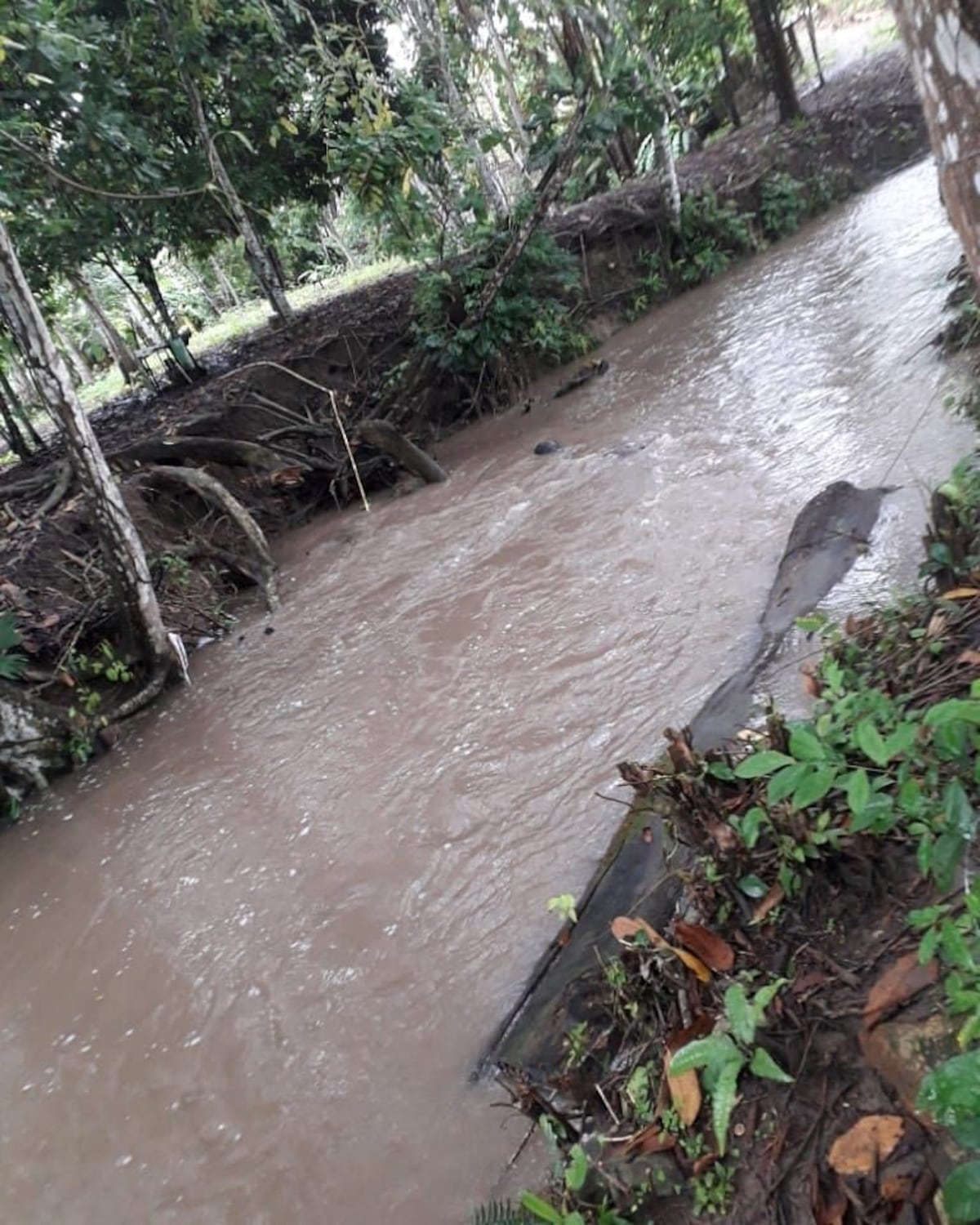 ¡Lamentable! Niño de tres añitos muere ahogado en Chepo