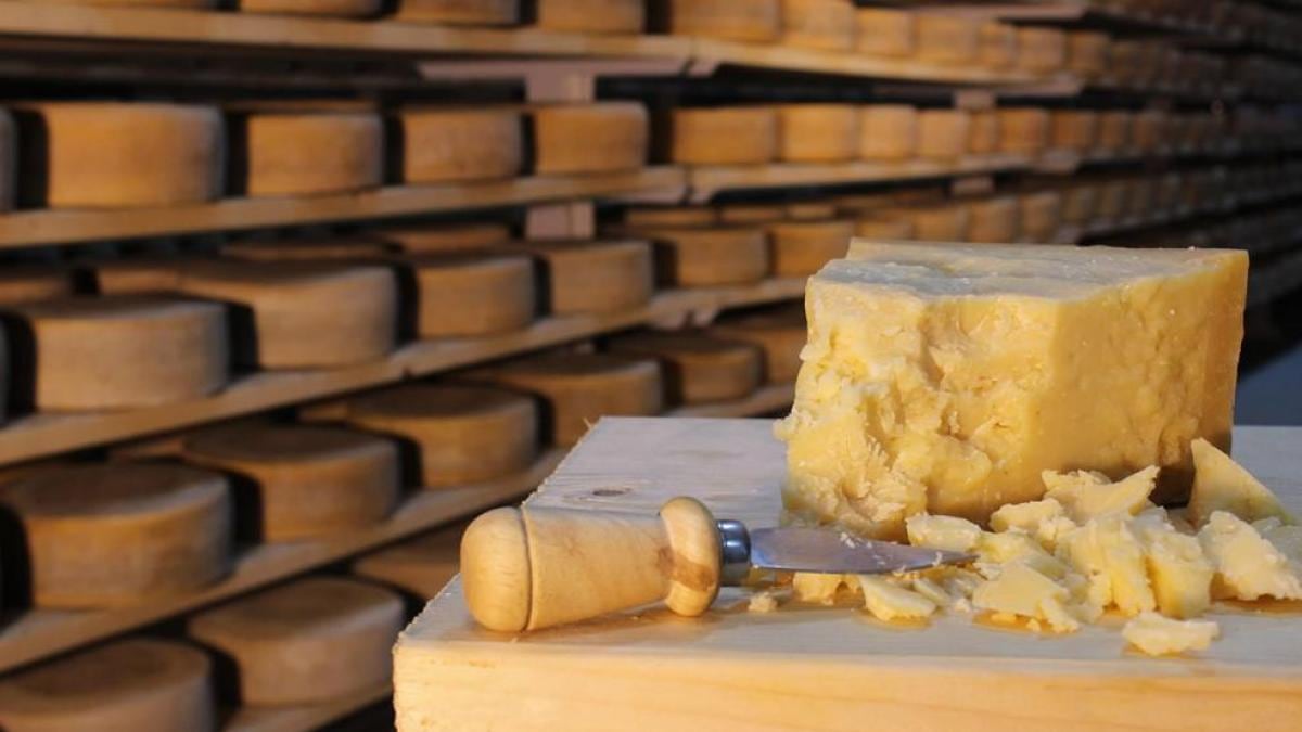 Banco italiano acepta queso parmesano como garantía para otorgar créditos
