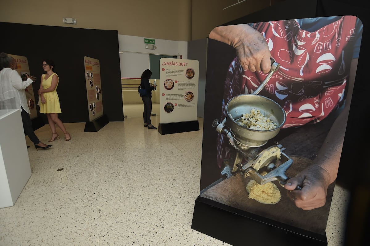 Exposición ‘El Maíz en Panamá’ : 500 años y Más