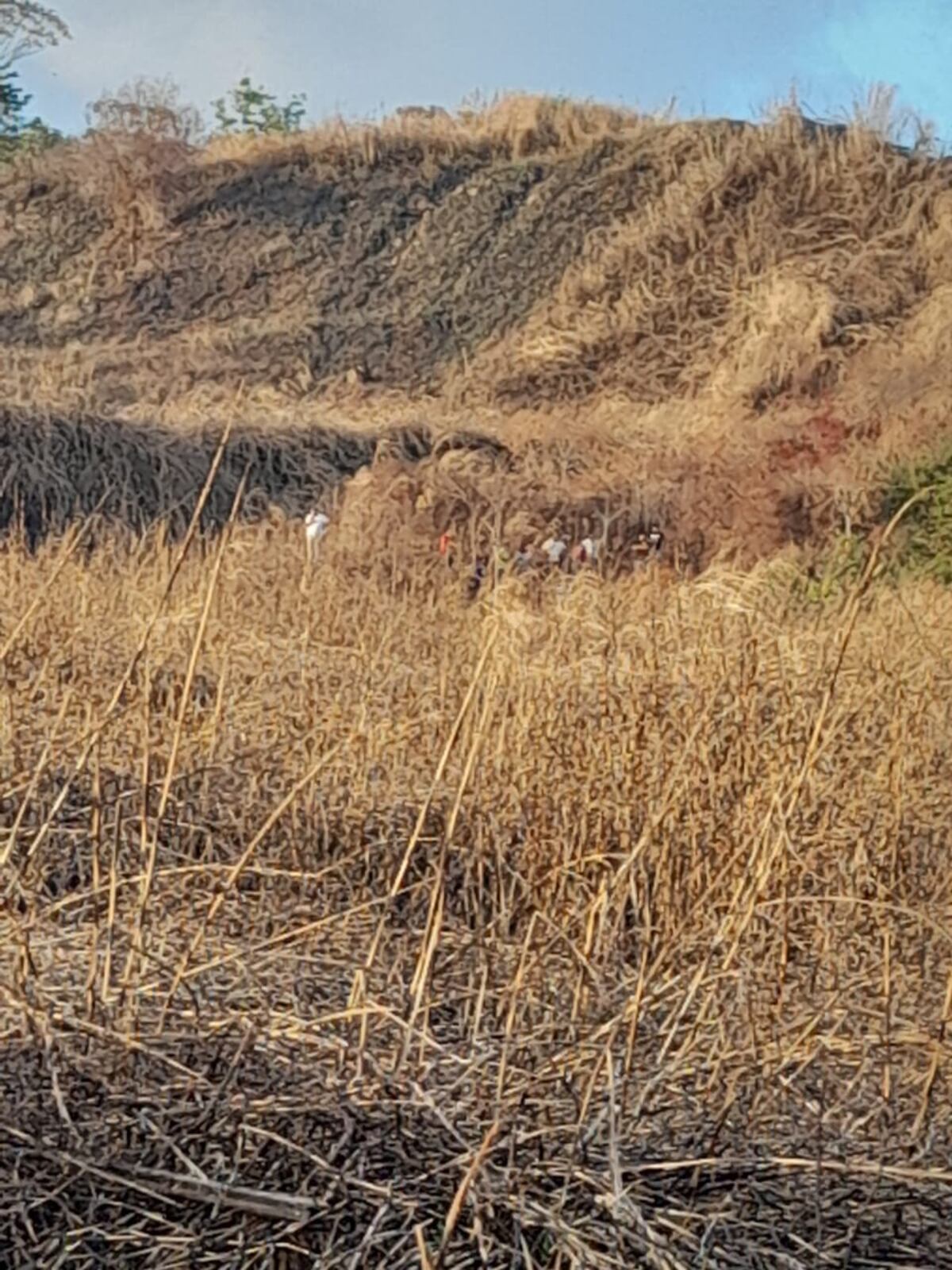 Encuentran sin vida a taxista  desaparecido. Detectan cuál fue su última carrera