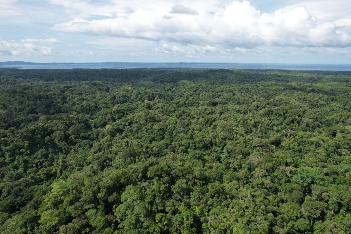 La riqueza natural que Panamá cuida con 18 parques