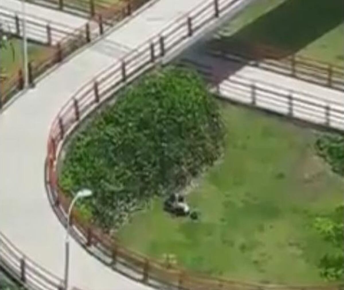 (+18) Circula video triple x. Los captan en plena ponchera en la Cinta Costera