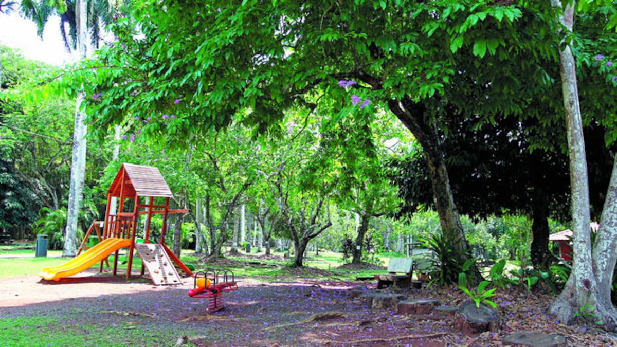 Alcaldía en modo verano: Modernización con QR en Summit y cursos de natación