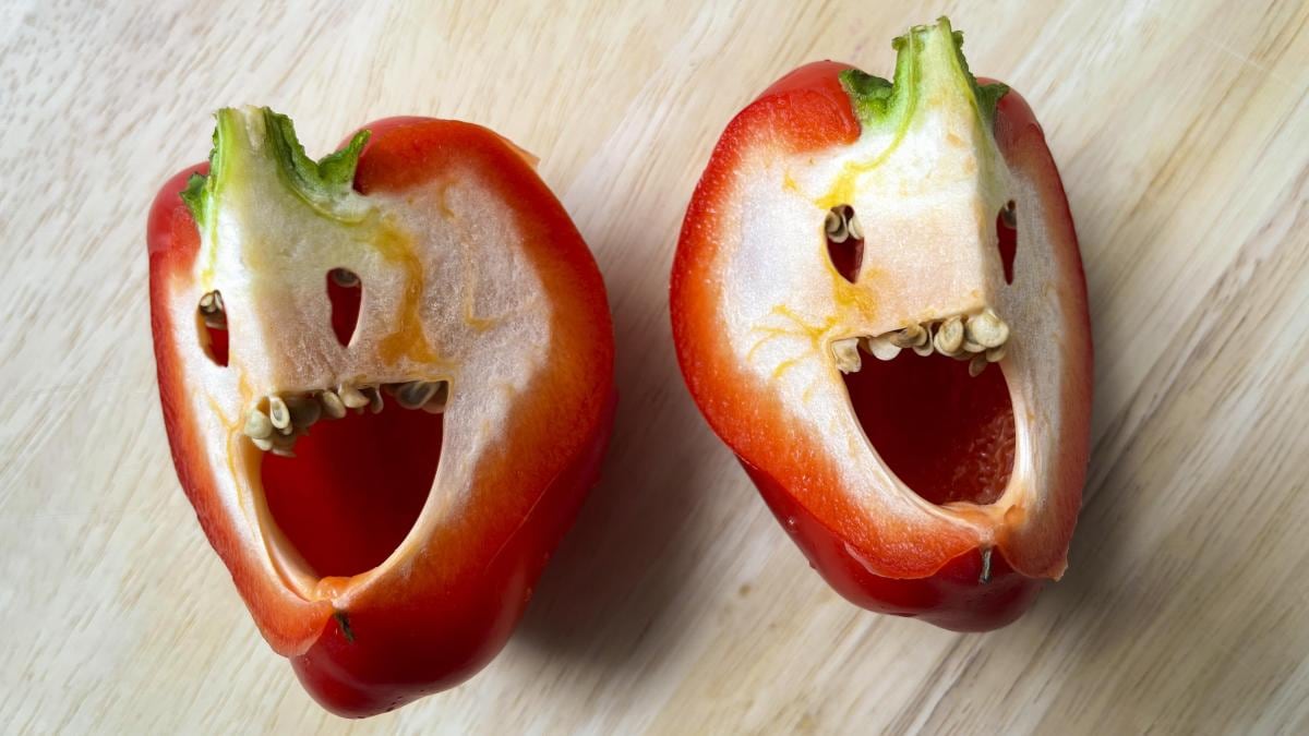 Pareidolia: cuando el cerebro ve lo que no está