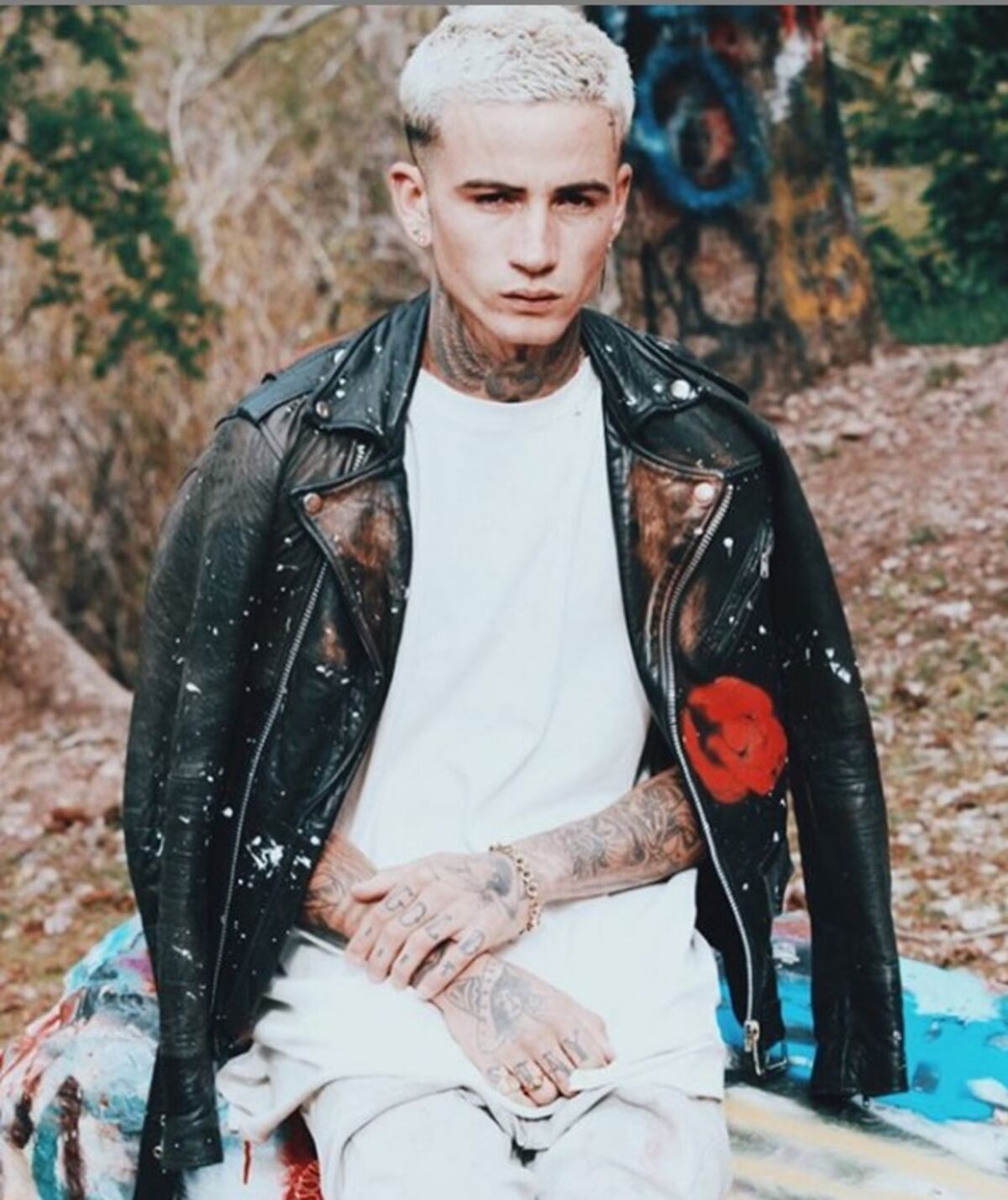 El parecido de ‘El pollo’ de Demi Lovato con Justin Bieber