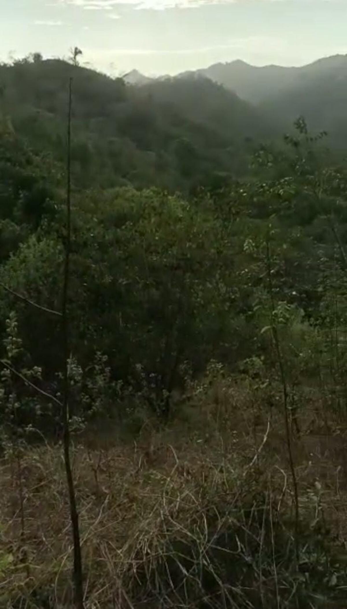 Rescatan adulto mayor reportado como  desaparecido. Video