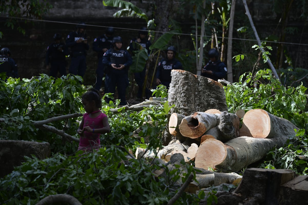 Continúa el enfrentamiento entre la alcaldesa encargada Raisa Banfield y MiAmbiente