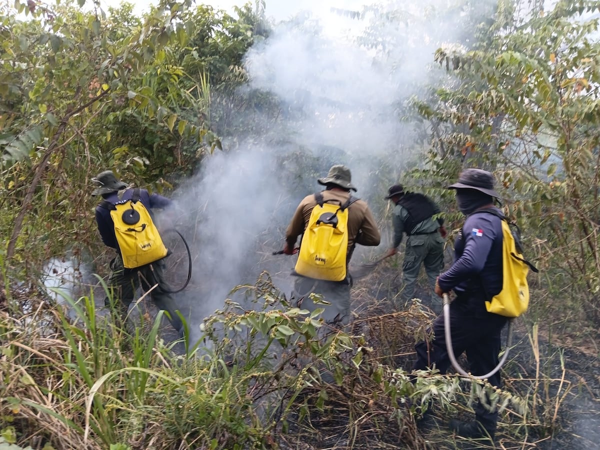 Fuego encendió alarmas en Punta Chame… pero fue controlado a tiempo