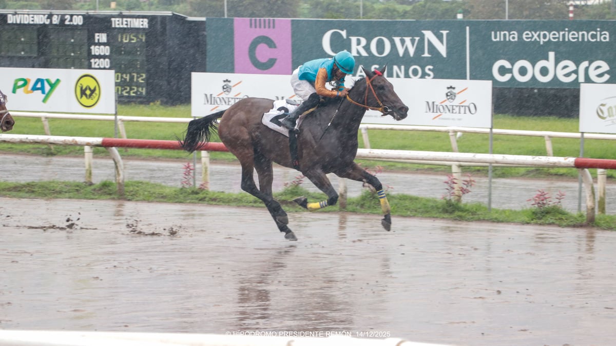 Jueves y domingo de carreras: el Clásico Ameglio pone el picante