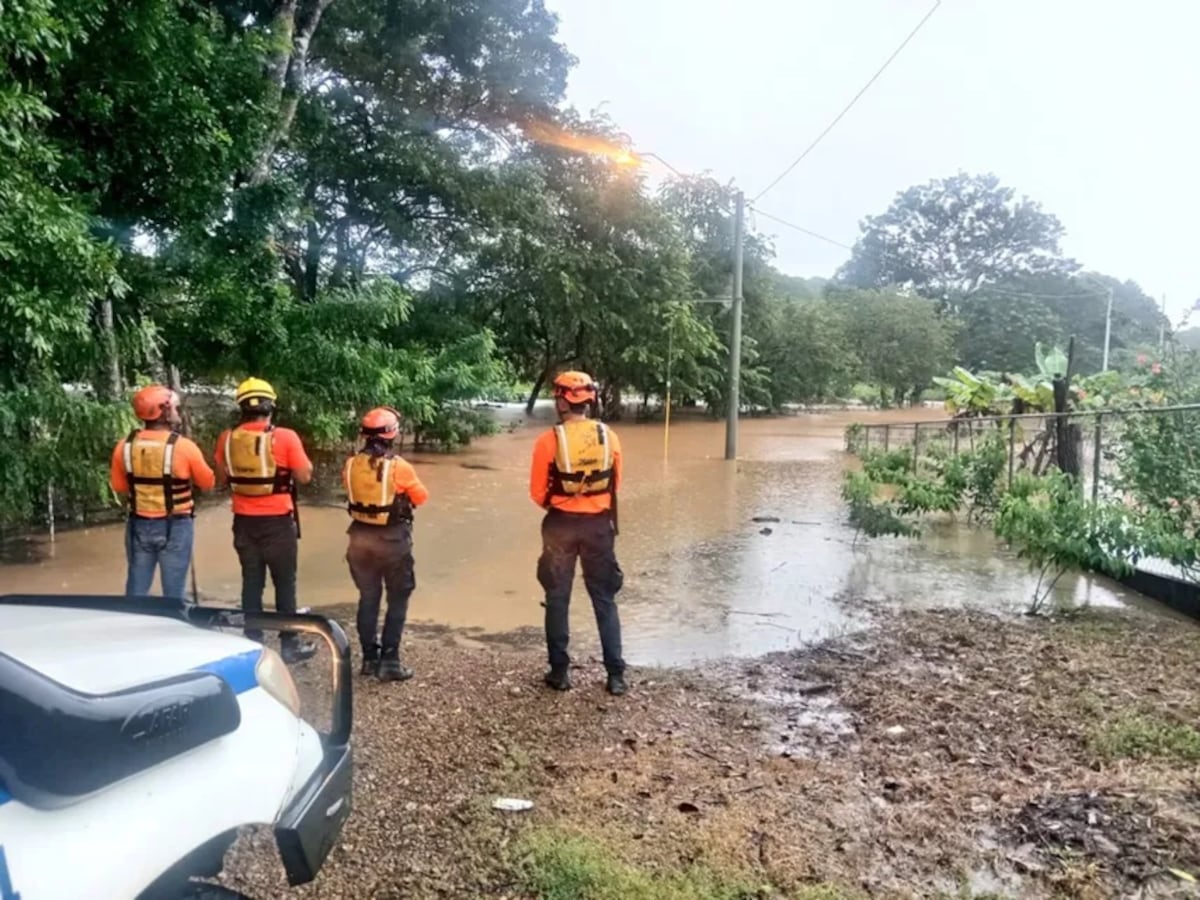 A mojarse por el país: Jóvenes se alistan con SINAPROC para rescates en inundaciones