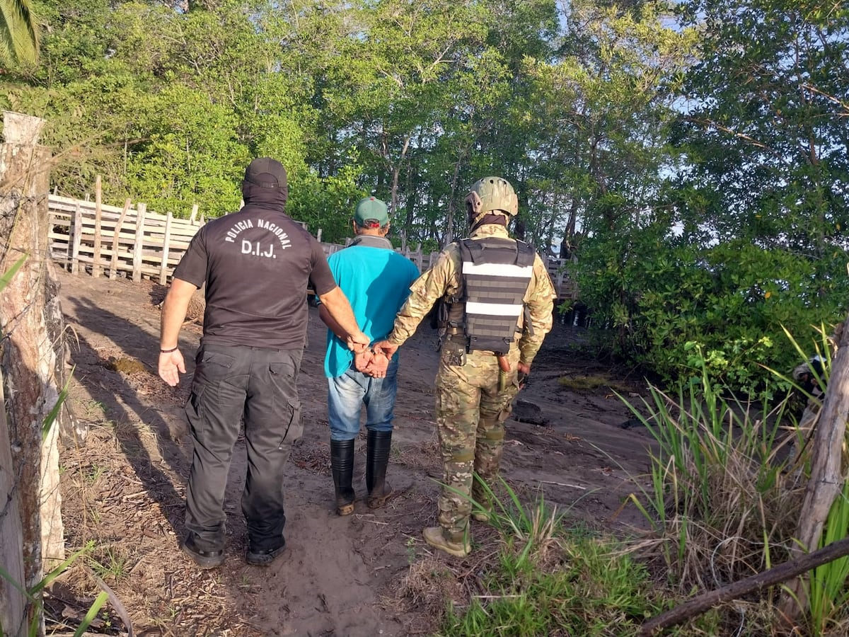 Le robaba caballos a productores y lo agarran escondido en Isla Sevilla, Chiriquí